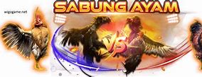 Slot Ayam Sabung